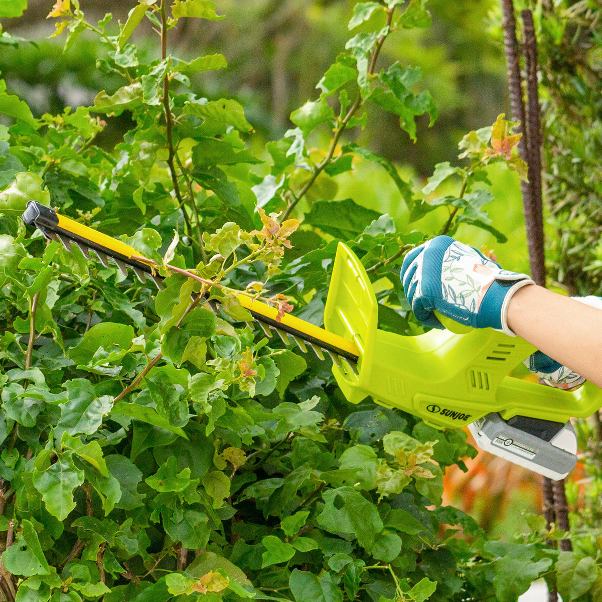 Green cordless hedge trimmer and stringless grass trimmer kit with battery and charger