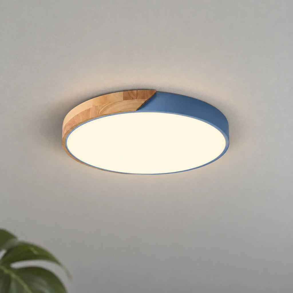 Nordica - Modern Flush Ceiling Light Brightening Living Spaces