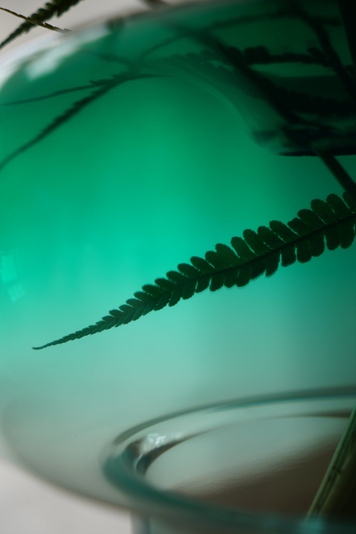 Green rounded glass vase with a clear base