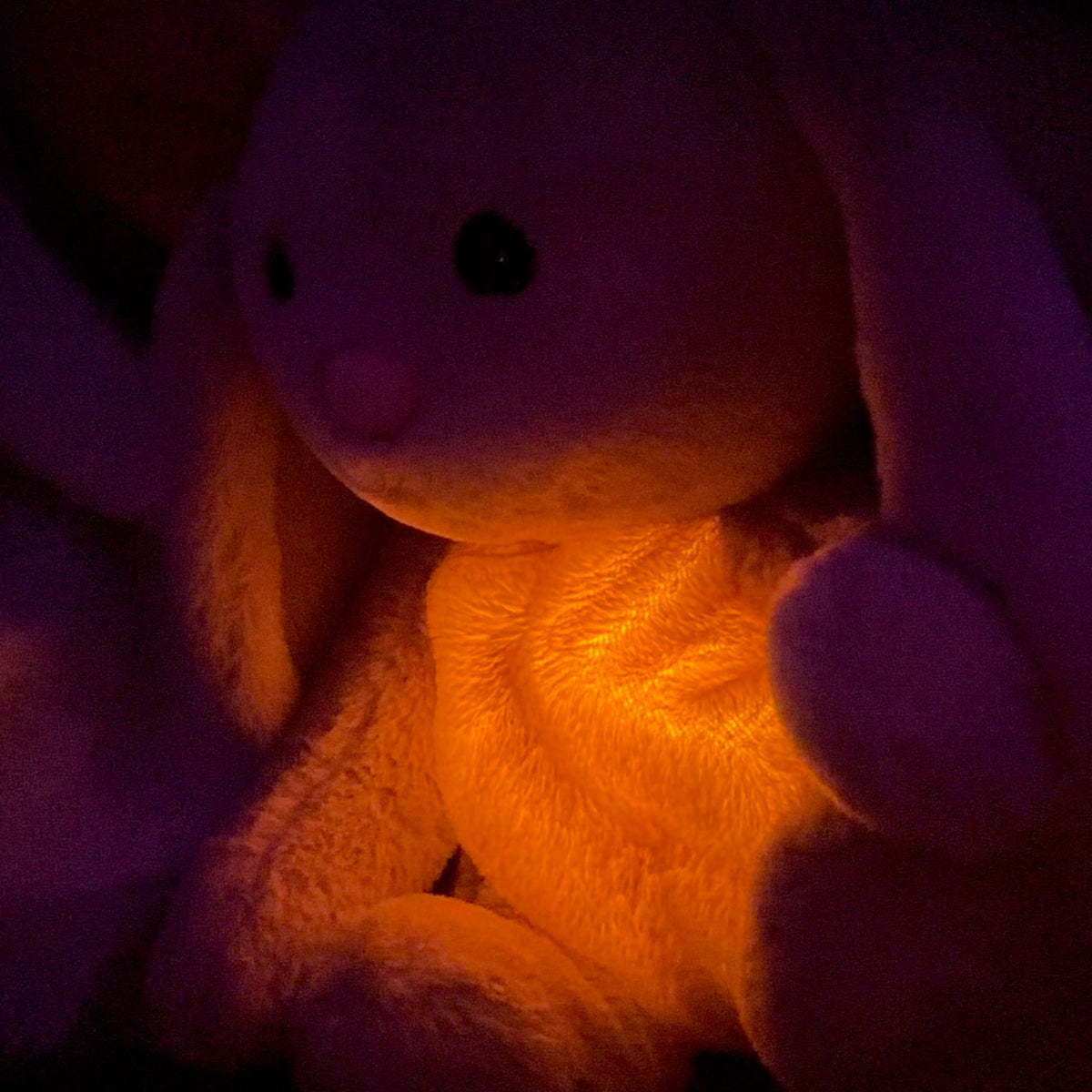 Grey rabbit stuffed animal with floppy ears and illuminated yellow belly