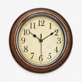 Timewisp - Classic Round Wall Clock Checking The Time