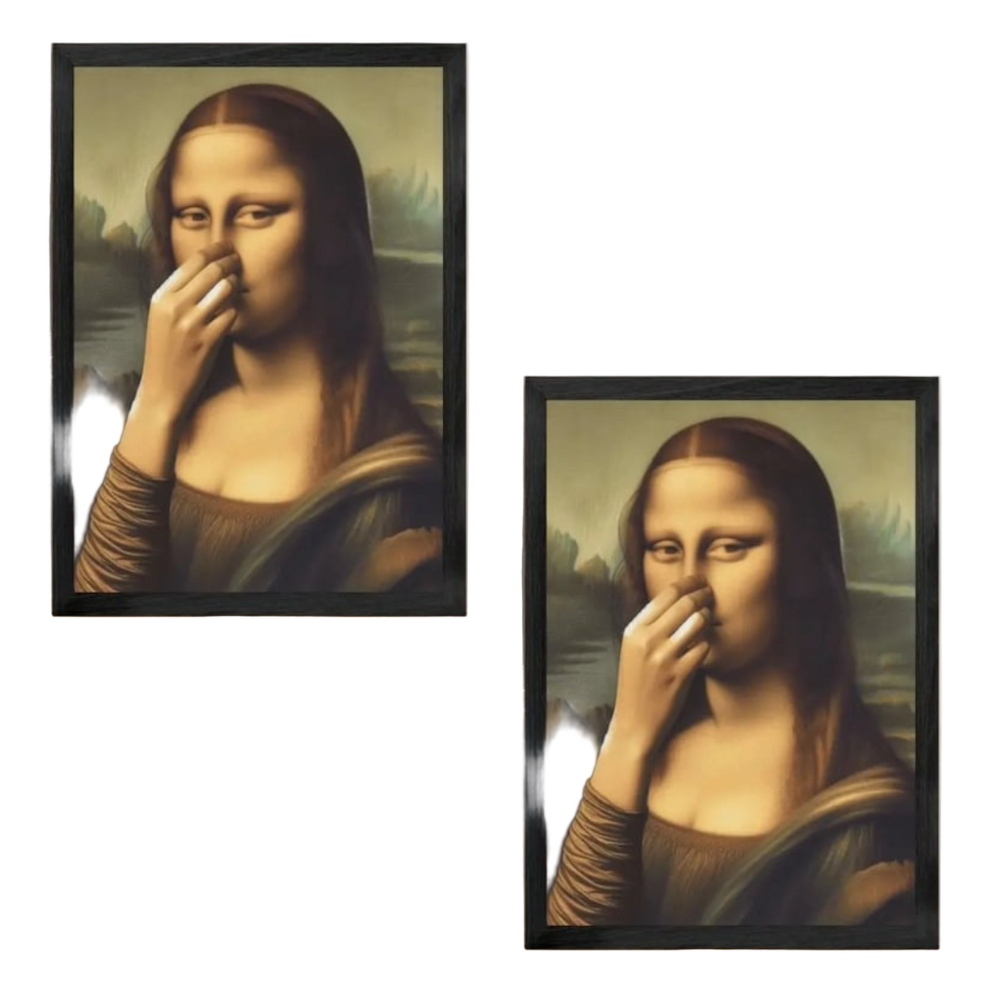 Framed humorous Mona Lisa portrait wall art with a black textured frame