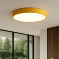 Round flush-mount LED ceiling light with a wide white diffuser panel