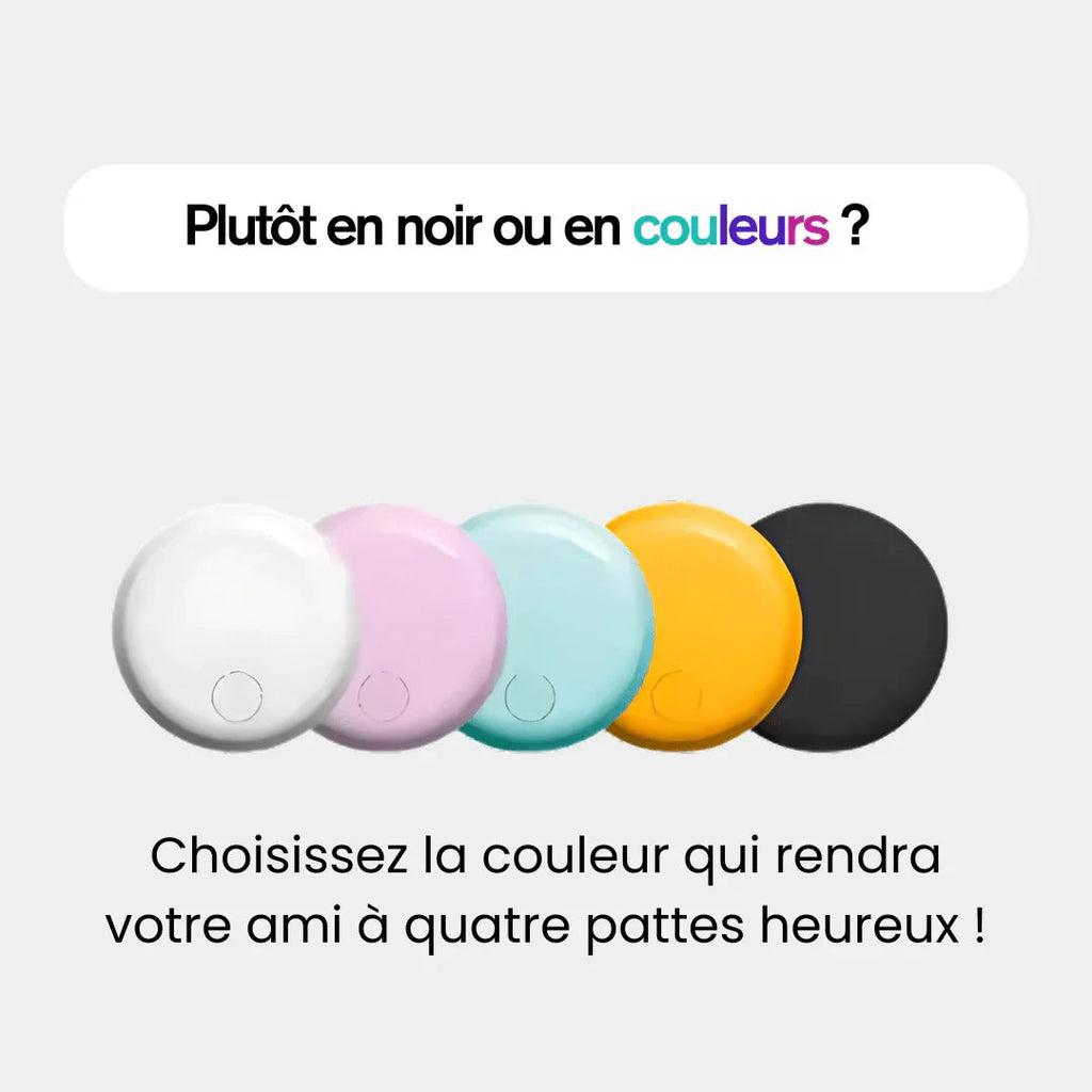 Round GPS tracker for cats shown beside a cat and in multiple colour options