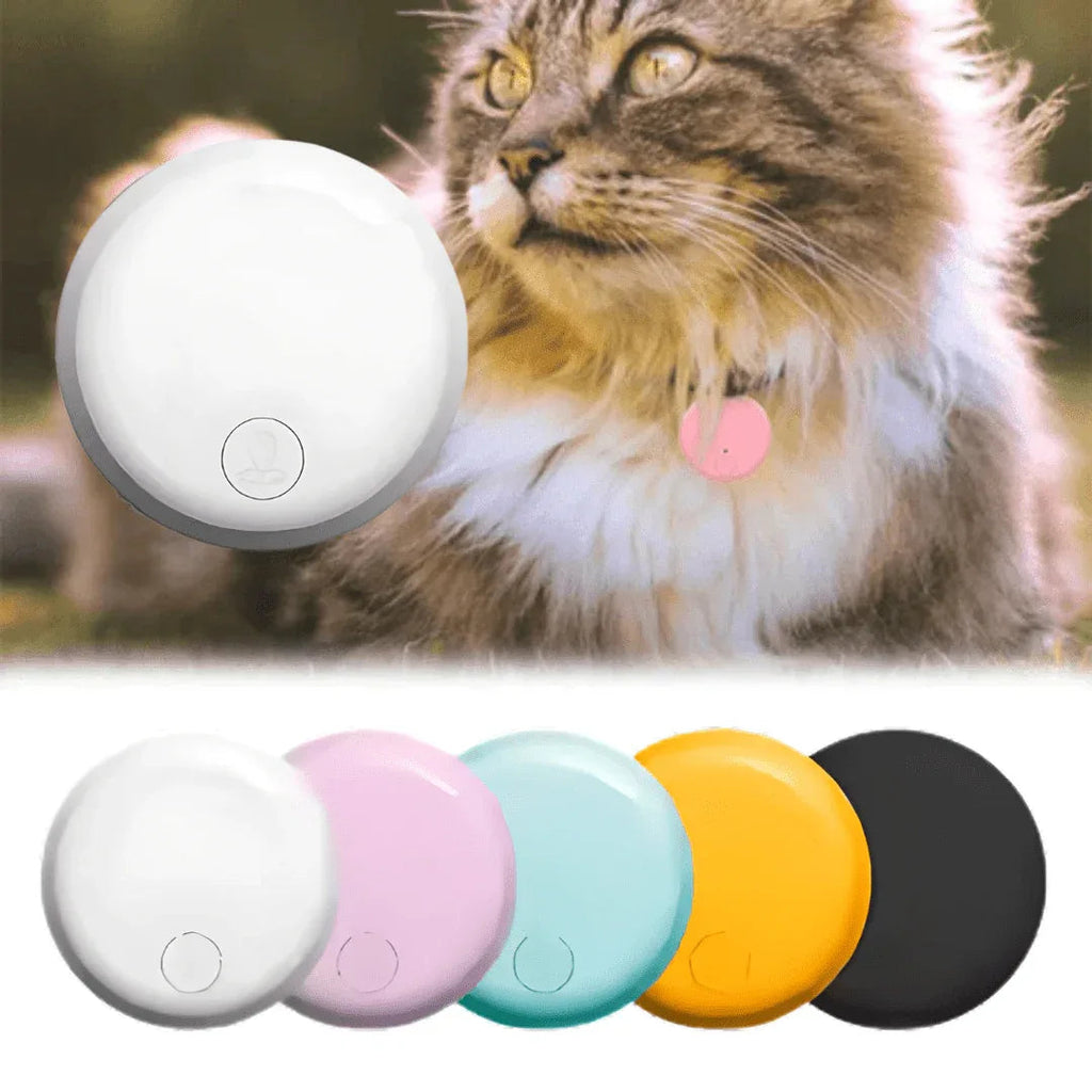 Round GPS tracker for cats shown beside a cat and in multiple colour options