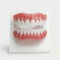 Flexible pink and white removable dental prosthesis set with clear tray